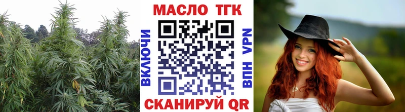 ТГК THC oil  нарко площадка Telegram  Новодвинск 