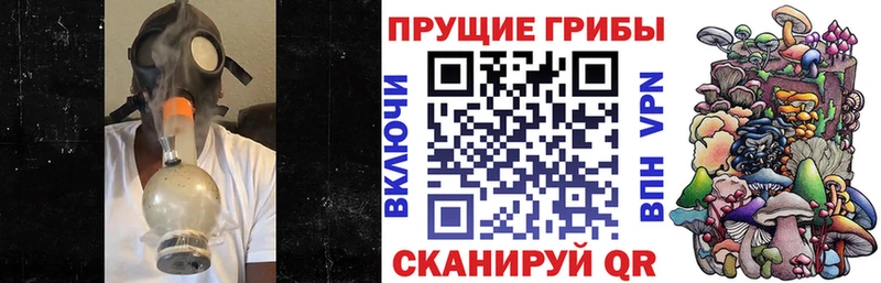 Псилоцибиновые грибы GOLDEN TEACHER  Новодвинск 